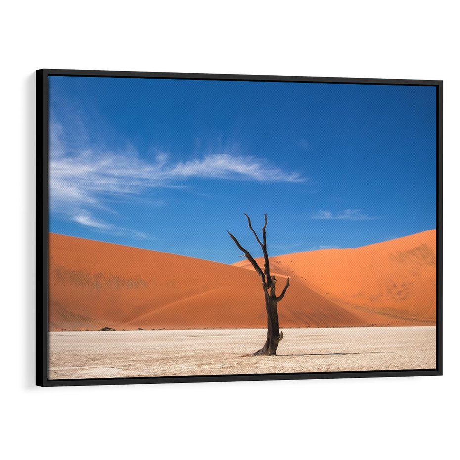 Obraz w ramie 70x50 - Słońce i Suche Drzewo - pustynia, suche - rama czarna