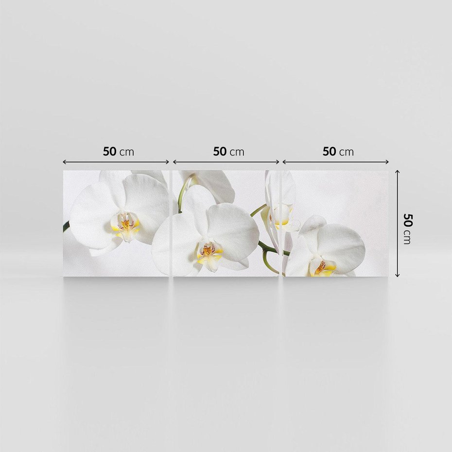 Obraz na płótnie 150x50 - Orchidea Kwiat - orchidea, kwiat