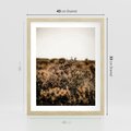 Plakat w ramie 40x50 - Krajobraz W Naturze: Beże i Brązy - suche krzewy, natura - rama drewno