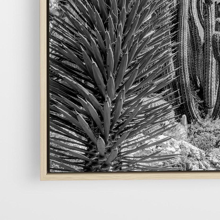 Obraz w ramie 50x50 - Pustynny Klimat - czarno białe zdjecie, pustynia - rama drewno