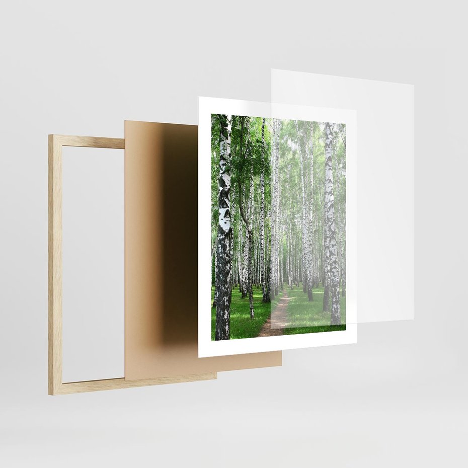 Plakat w ramie 40x50 - Magia lasu pełnego brzóz - las, brzozy - rama drewno