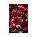 Plakat bez ramy 40x50 - Energia Kwiatów - czerwone kwiaty, kompozycja