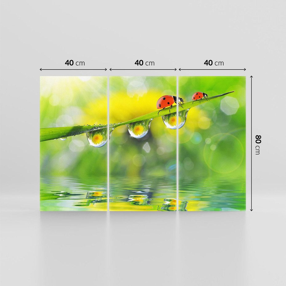 Obraz na płótnie 120x80 - Deszczowa Biedronka - biedronka, deszcz