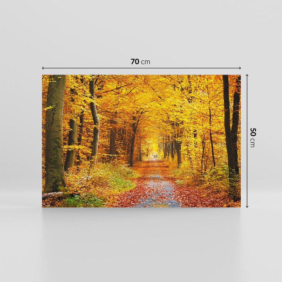 Obraz na płótnie 70x50 - Jesień w lesie - las, drzewa