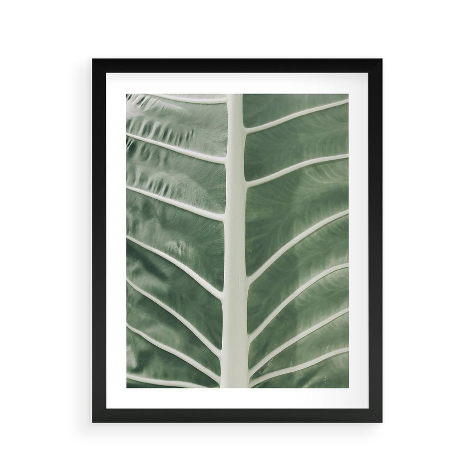 Plakat w ramie 40x50 - Zielone Wielkości: Zbliżenie Liścia - zbliżenie duz liść, jasna zieleń - rama czarna