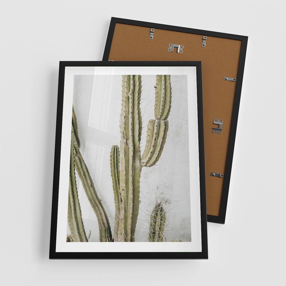 Plakat w ramie 50x70 - Kaktus w Stylu Boho - kaktus, roślina tropikalna - rama czarna