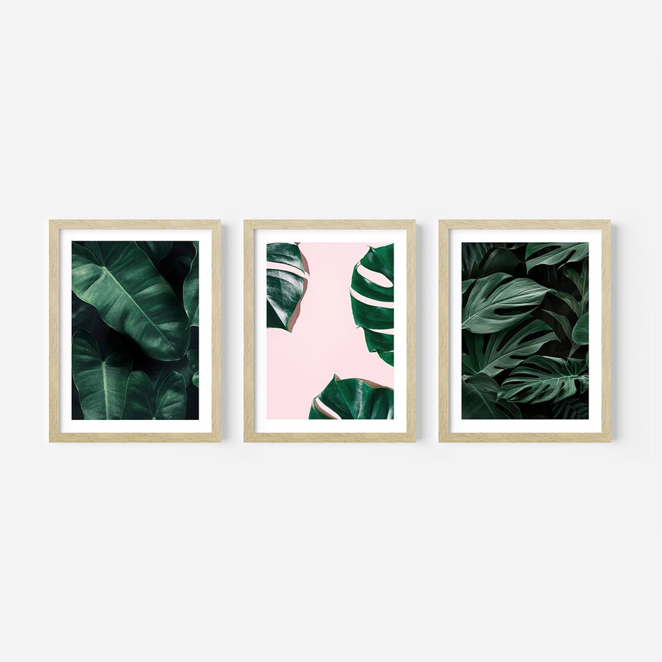 Zestaw obrazy w ramie 30x40 galeria - Monstera, liście, tło, tropikalne - rama drewno