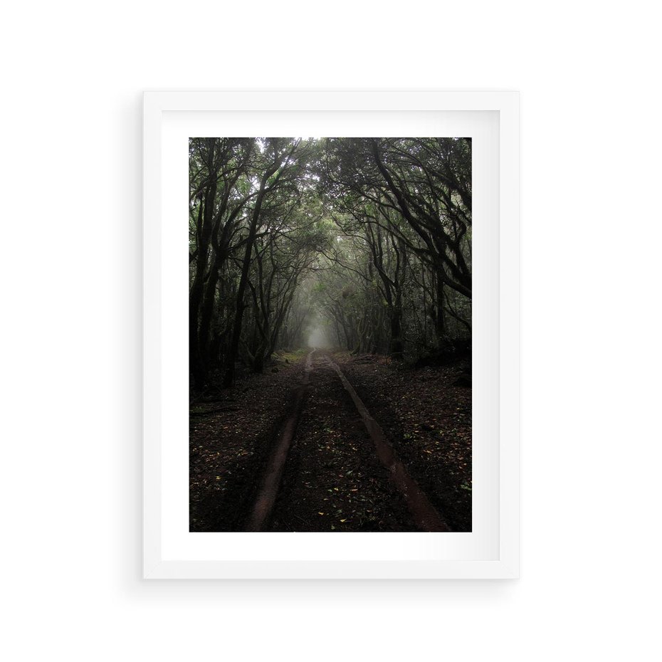 Plakat w ramie 30x40 - Urok Drogi - las, droga - rama biała