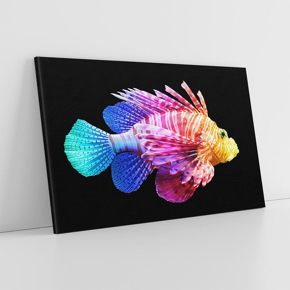 Obraz na płótnie 70x50 - Tęczowa Piękność - kolorowa tęczowa ryba, mocny akcent na czarnym tle