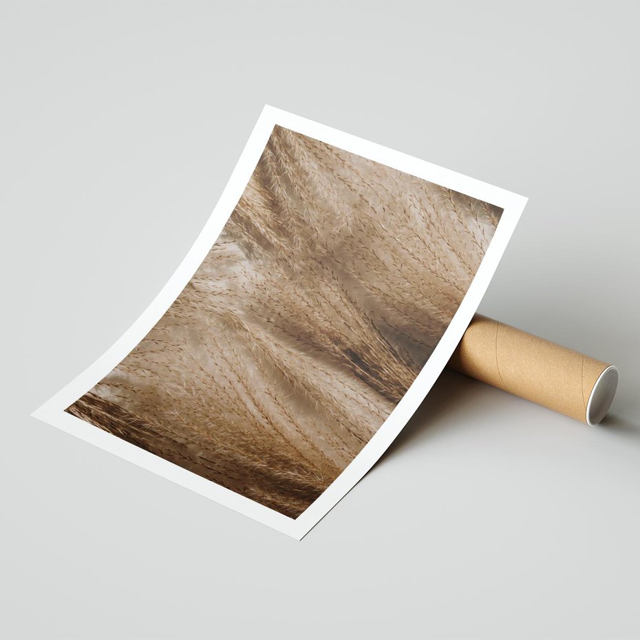 Plakat bez ramy 30x40 - Pampasowy Brąz - suche trawy, trawa pampasowa