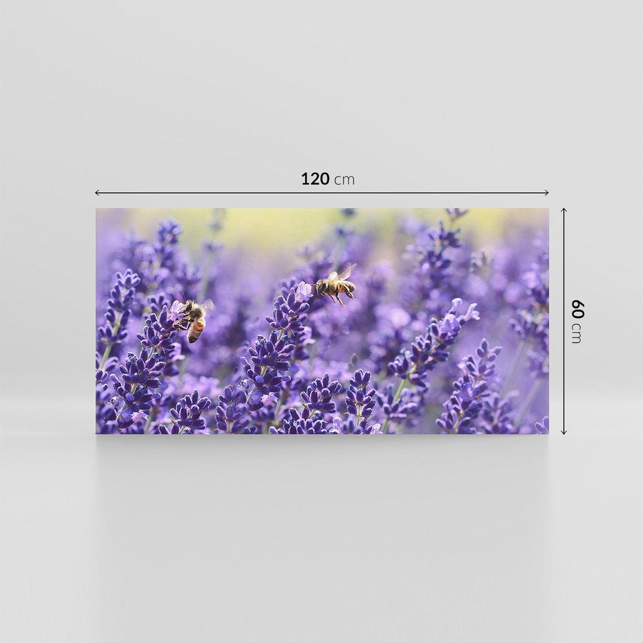 Obraz na płótnie 120x60 - Magia lawendy delikatne kwiaty - lawenda, kwiat