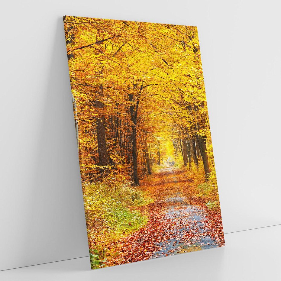 Obraz na płótnie 80x120 - Jesień w lesie - las, drzewa