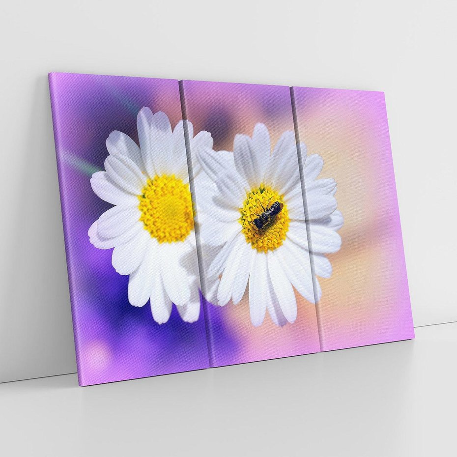 Obraz na płótnie 120x80 - Stokrotki wśród traw urok natury - stokrotki, kwiat