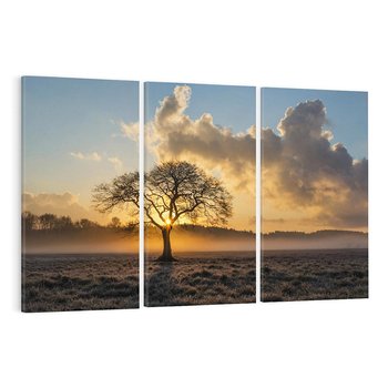 Obraz na płótnie 120x80 - Drzewo w mgle: Piękno jesiennego poranka - drzewo, mgła