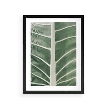Plakat w ramie 50x70 - Zielone Wielkości: Zbliżenie Liścia - zbliżenie duz liść, jasna zieleń - rama czarna