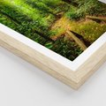 Plakat w ramie 30x40 - Współistnienie z naturą - drzewa, las - rama drewno