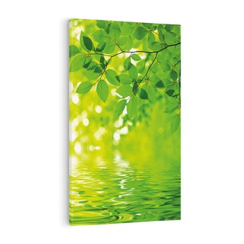 Obraz na płótnie 80x120 - Liście w Wodzie - liście, woda