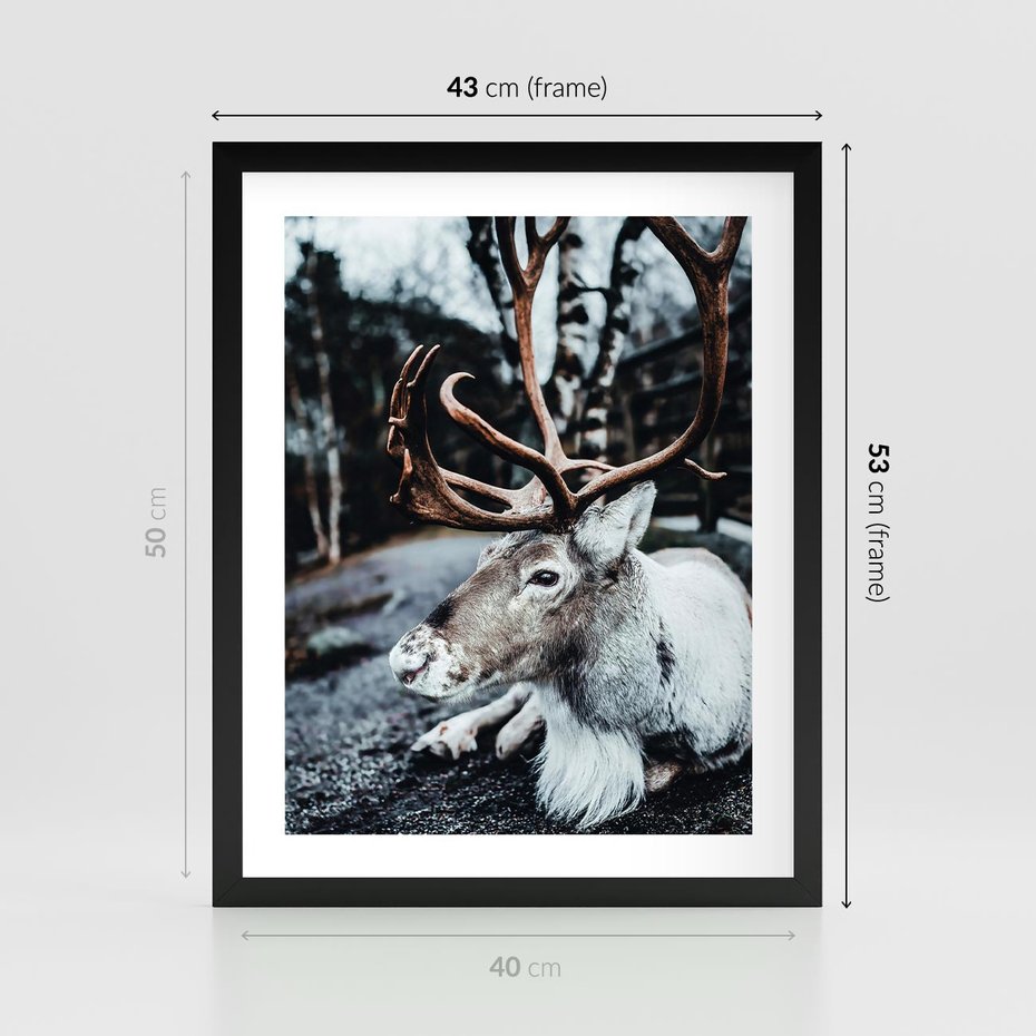 Plakat w ramie 40x50 - W Zimowej Krainie - renifer, zima - rama czarna