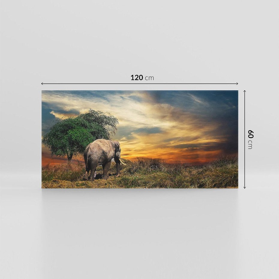 Obraz na płótnie 120x60 - Potęga słonia na afrykańskiej sawannie - słoń, sawanna