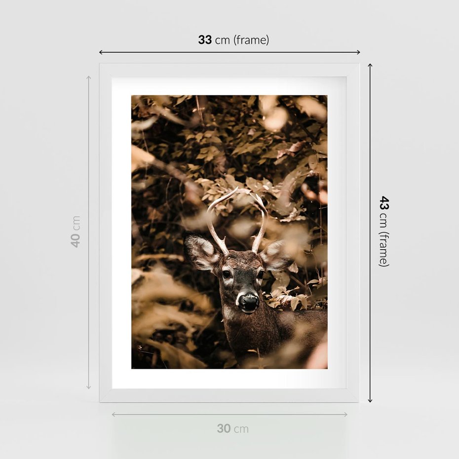 Plakat w ramie 30x40 - Jesienny Jeleń w Lesie - jeleń, w lesie - rama biała