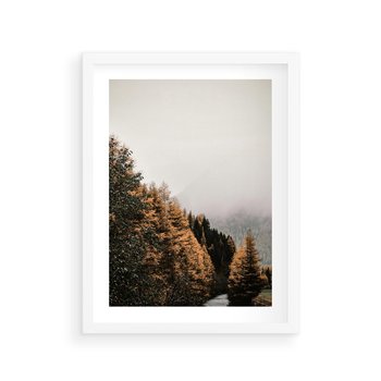 Plakat w ramie 30x40 - Kolorowa Jesień w Górskim Lesie - las, jesień - rama biała
