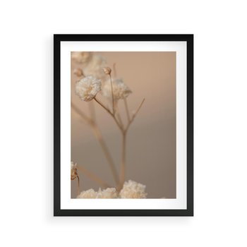 Plakat w ramie 40x50 - Subtelna gipsówka - gipsówka, suche - rama czarna
