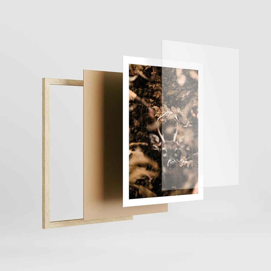 Plakat w ramie 50x70 - Jesienny Jeleń w Lesie - jeleń, w lesie - rama drewno