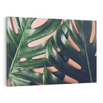 Obraz na płótnie 120x80 - Monstera Liście - monstera, liście