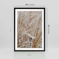 Plakat w ramie 50x70 - Beżowa Trawa - suche trawy, zbliżenie - rama czarna