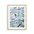 Plakat w ramie 30x40 - Zima w Detalu: Gałęzie ze Szronem i Śniegiem - śnieg, zima - rama drewno