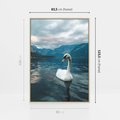 Obraz w ramie 80x120 - Łabędzi Śpiew - fotografia, plakat - rama drewno