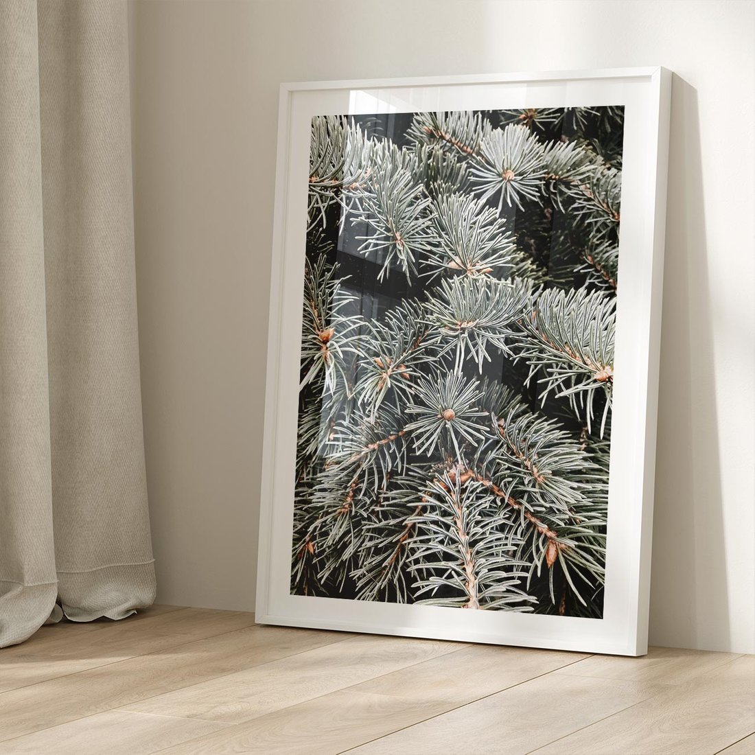 Plakat bez ramy 50x70 - Zima na Gałęziach - sosnowe gałęzie, igły