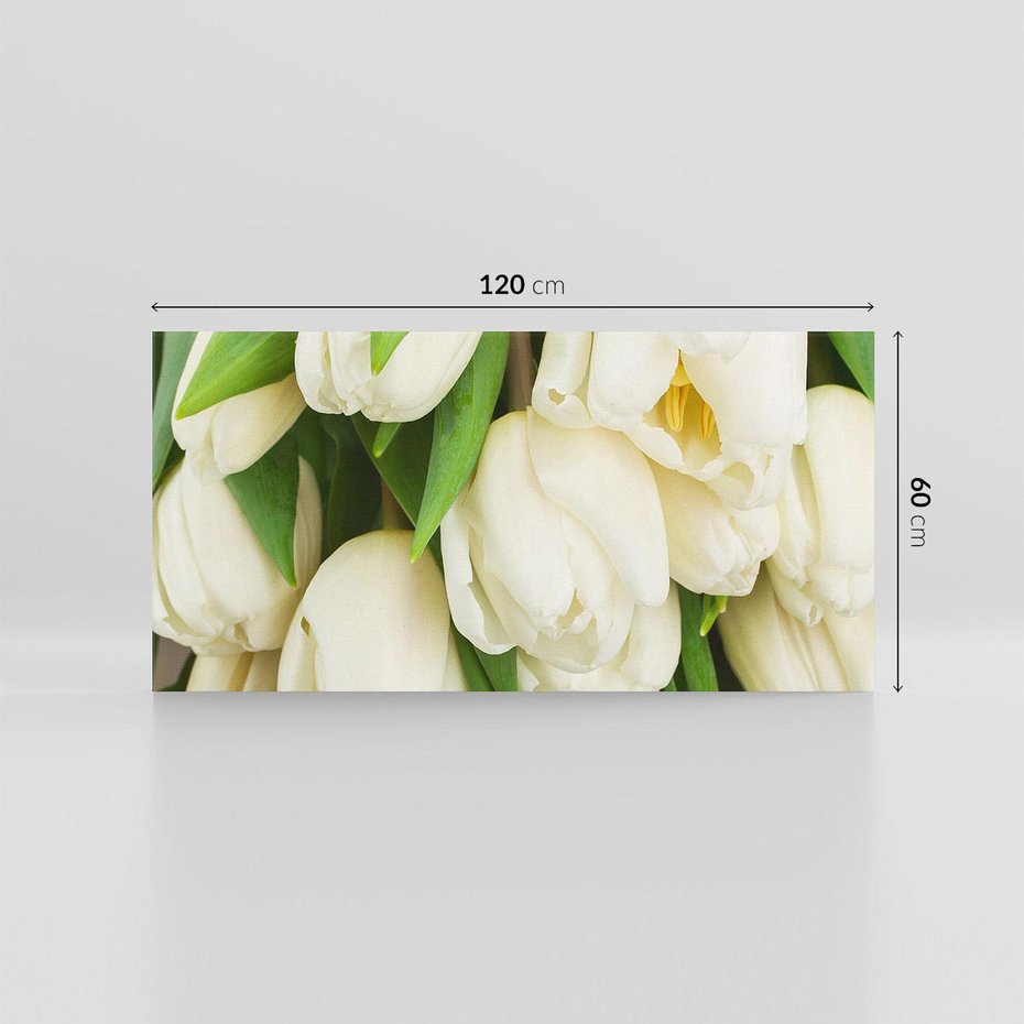 Obraz na płótnie 120x60 - Białe tulipany w pełnym rozkwicie - białe, tulipany