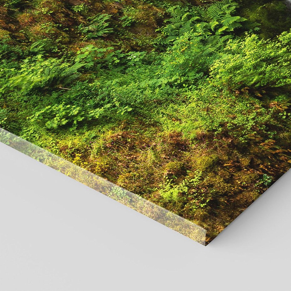 Obraz na płótnie 140x70 - Siła i Urok Natury - wodospad, las