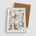 Plakat w ramie 50x70 - Białe Muszle - białe muszle, ujęcie z góry - rama drewno
