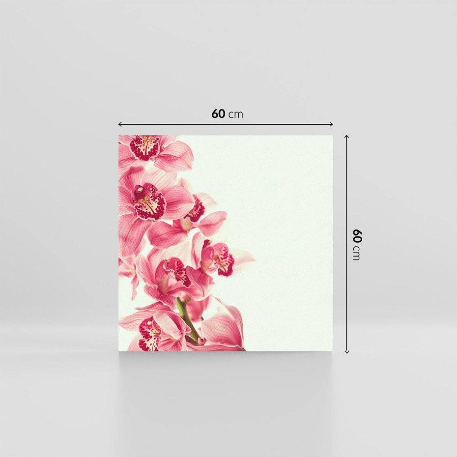 Obraz na płótnie 60x60 - Orchidea - delikatne kwiaty - orchidea, kwiaty