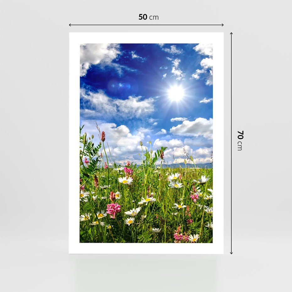 Plakat bez ramy 50x70 - Niebiańska łąka pełna kwiatów - łąka, niebo