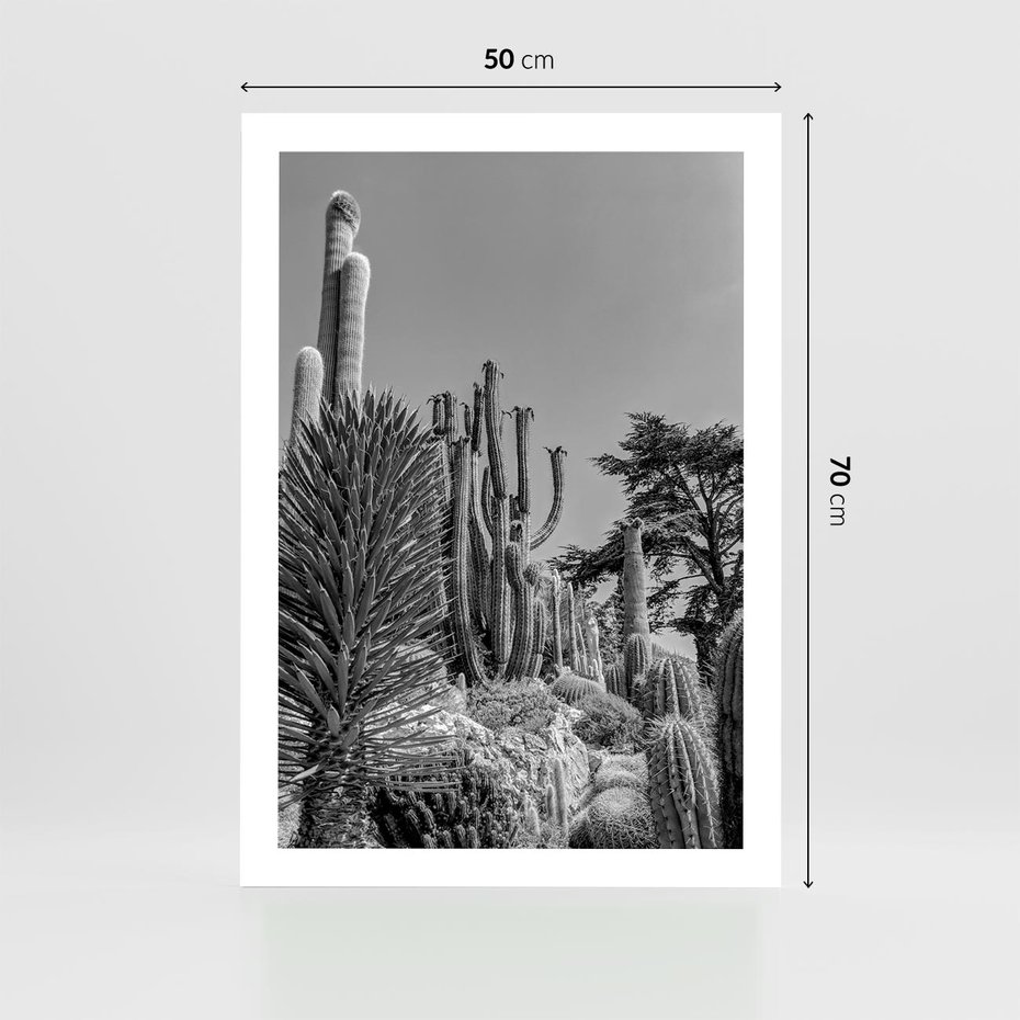 Plakat bez ramy 50x70 - Pustynny Klimat - czarno białe zdjecie, pustynia