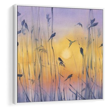 Obraz w ramie 80x80 - Mistyka Poranka nad Szuwaram - wschód słońca w szuwarach, trawy - rama biała