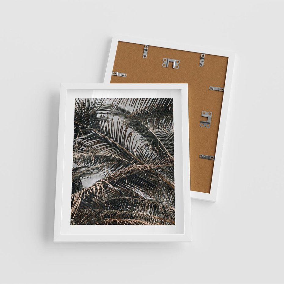 Plakat w ramie 40x50 - Liściaste Palmy - palmy, drzewa palmowe - rama biała