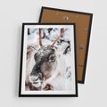 Plakat w ramie 50x70 - Renifer w Zimowej Krainie - renifer, zima - rama czarna