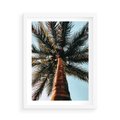 Plakat w ramie 50x70 - Rajskie Inspiracje: Palma na Niebie - palma, na tle nieba - rama biała