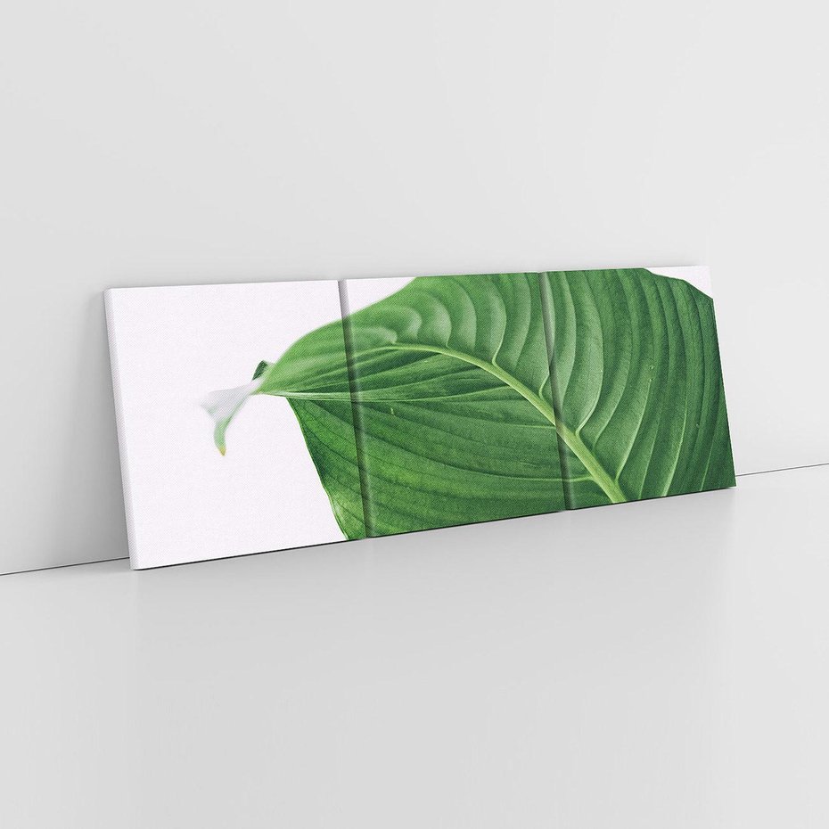Obraz na płótnie 90x30 - Zielone liście monstery - liście, monstera