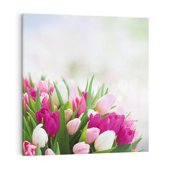 Obraz na płótnie 40x40 - Tulipany w pełnym rozkwicie - tulipany, kwiaty