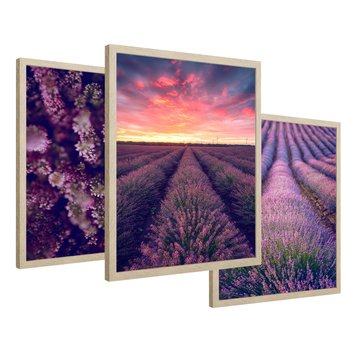 Zestaw obrazy w ramie 30x40 galeria - Wrzosy, lawenda, zachód, słońca - rama drewno