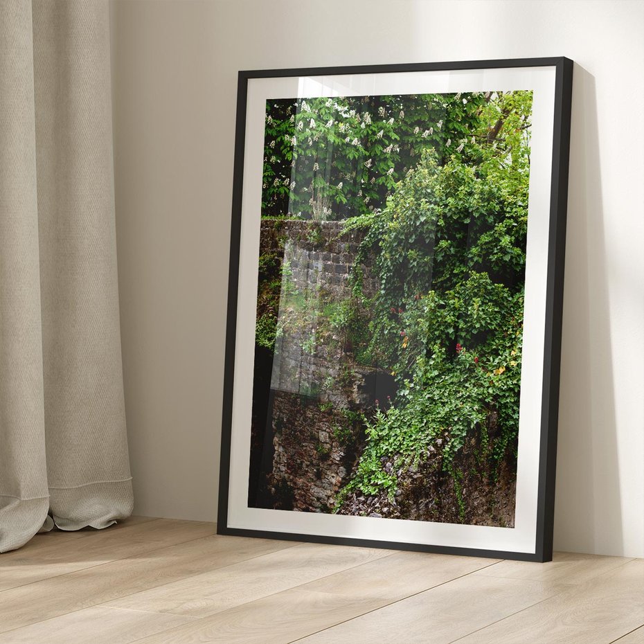 Plakat bez ramy 30x40 - Żywiołowa Zieleń - mur, liście