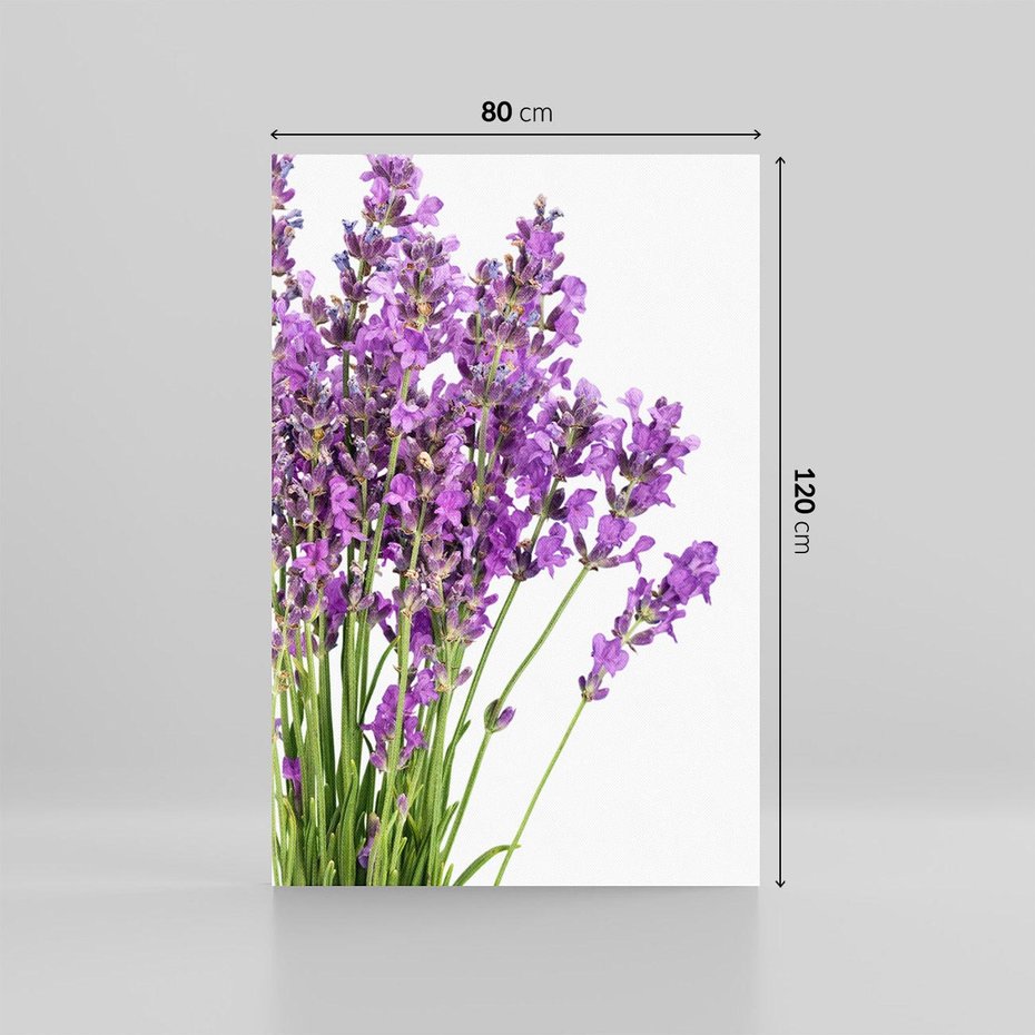 Obraz na płótnie 80x120 - Pola lawendy w pełnym rozkwicie - lawenda, kwiaty