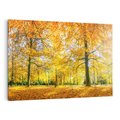 Obraz na płótnie 100x70 - Jesień w Lesie: Urok Lasu - jesień, las