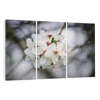 Obraz na płótnie 120x80 - Kwiatowa harmonia w tonacji pastelowej - kwiat, kwiaty