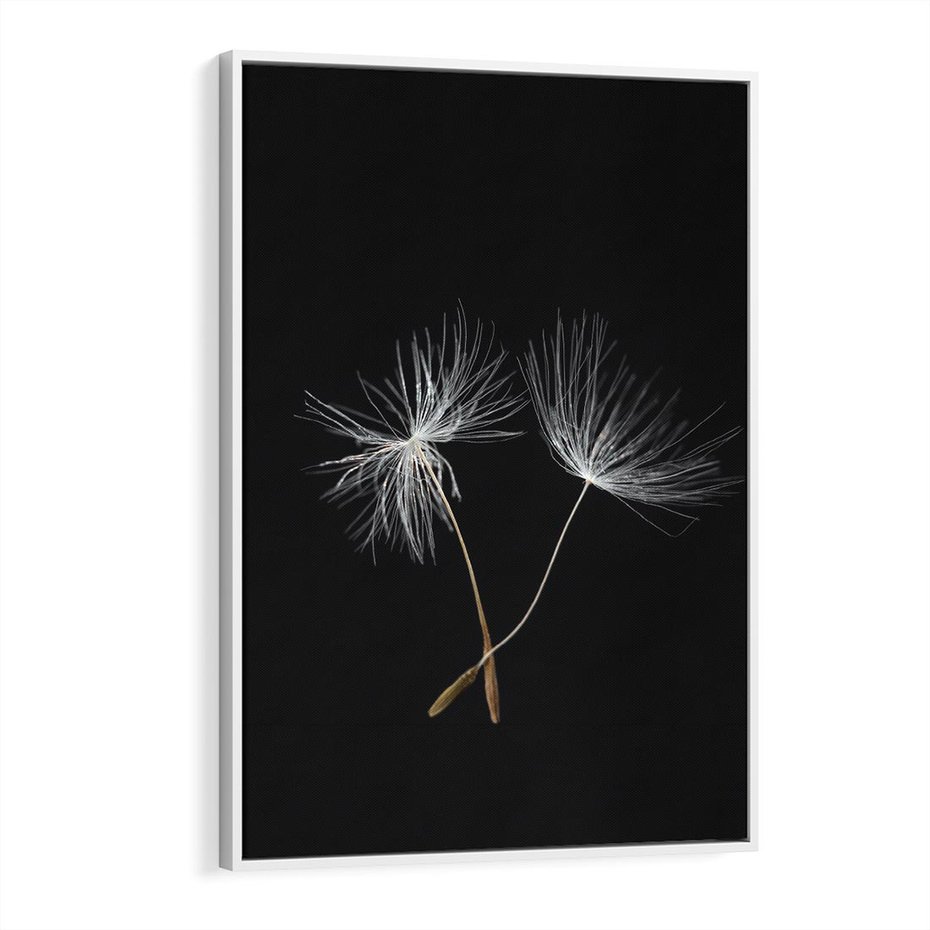 Obraz w ramie 80x120 - Delikatność Wiatru - dmuchawce, makro - rama biała